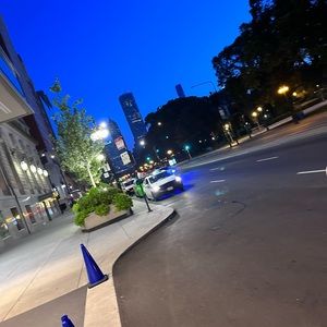 Meet your Posher, Riley